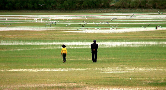 Le vieux Ma et sa petite fille marchent dans un marais verdoyant dos à la caméra