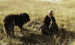 « Old dog » de Pema Tseden